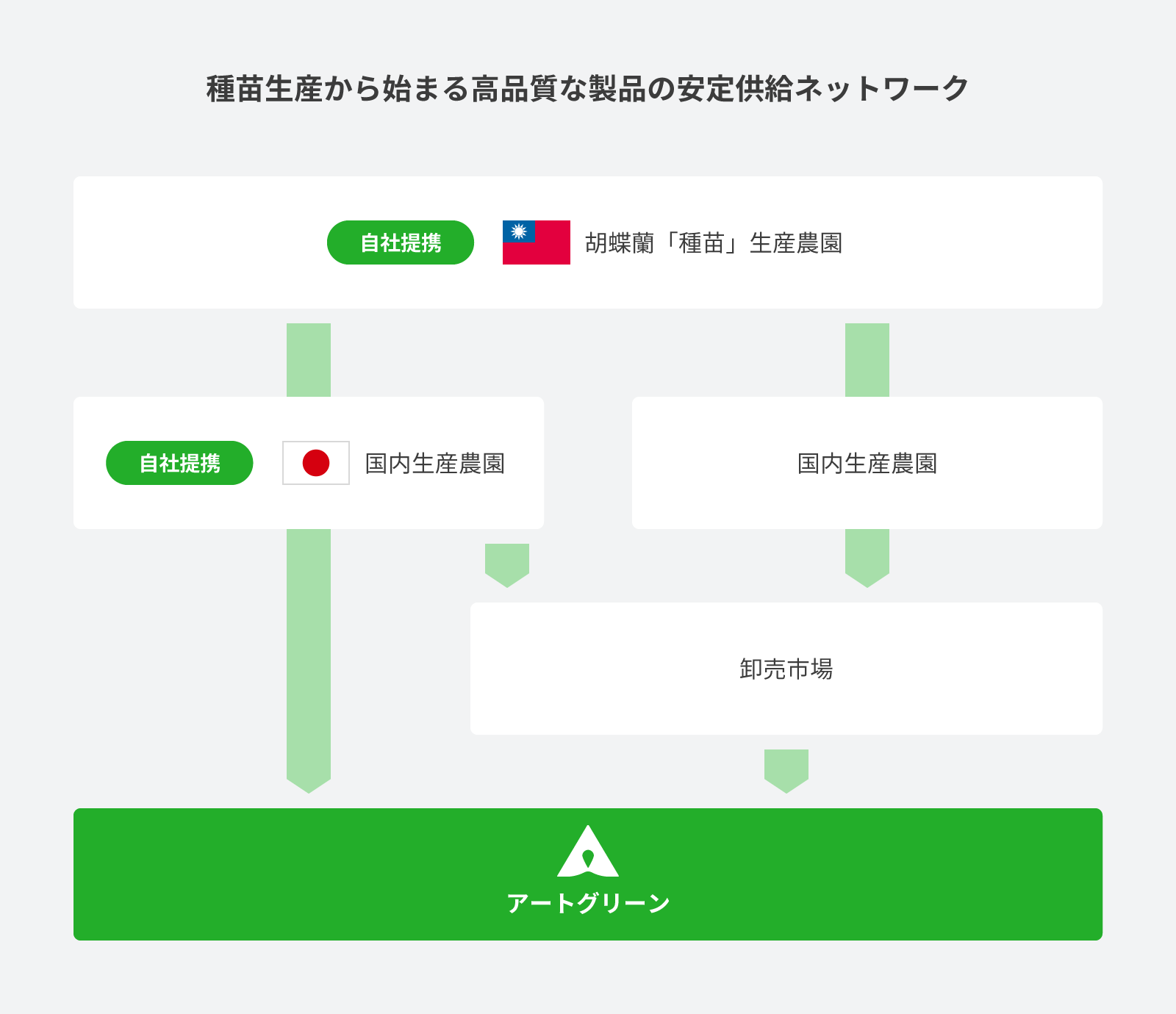 種苗生産から始まる高品質な製品の安定供給ネットワーク